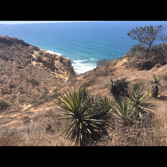 Meet your Posher, Angelle - Picture 5 of 8